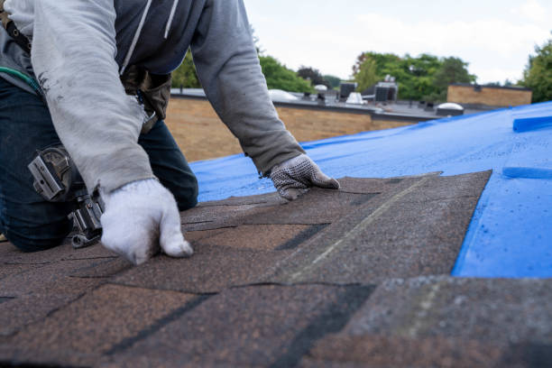 Gutter Installation and Roofing in Ladue, MO